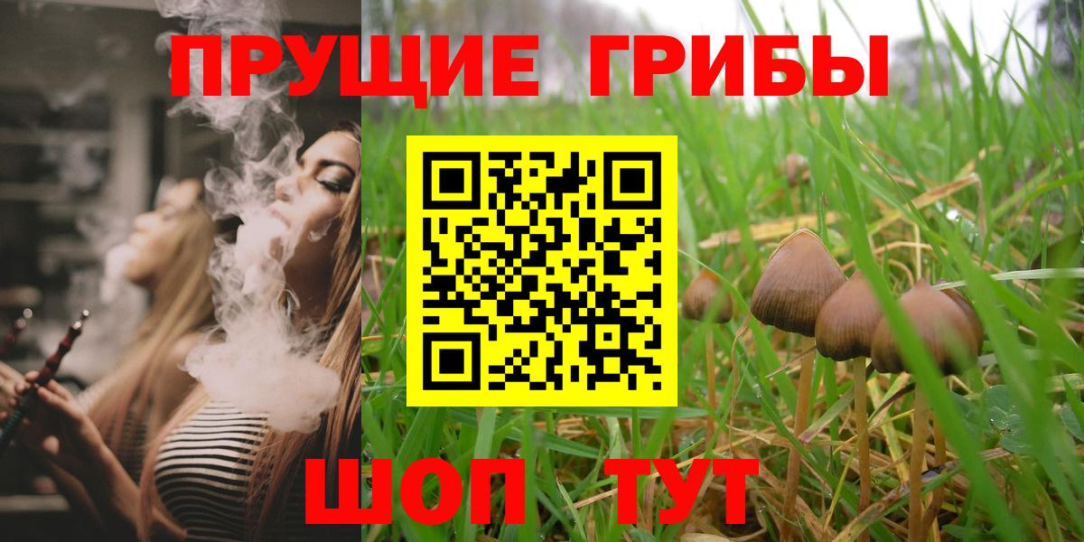 Белебей  Галлюциногенные грибы Psilocybine cubensis  Галлюциногенные грибы Psilocybe  Вход с VPN 
